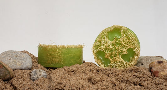 coconut lime looah soap